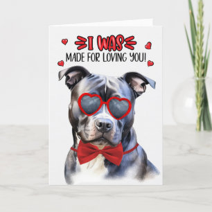 Cartes Pour Fêtes Annuelles Blue Nez Pit Bull Chien Vous Aimant Valentine