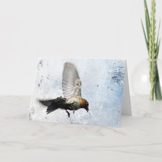 Cartes Pour Fêtes Annuelles Bluebird Toutes les occasions Blank Inside (Devant)
