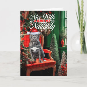 Cartes Pour Fêtes Annuelles Bluenose Pitbull Dog Naughty ou Nice Noël