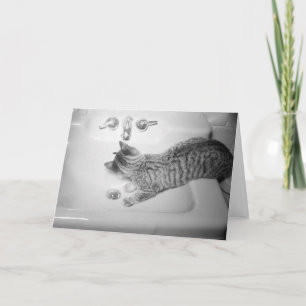 Cartes Pour Fêtes Annuelles Boire de chat à partir d'un robinet rétro