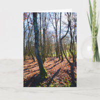 Bois d'hiver en France