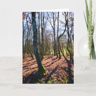 Cartes Pour Fêtes Annuelles Bois d'hiver en France
