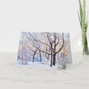 Cartes Pour Fêtes Annuelles Bois d'Oxleas