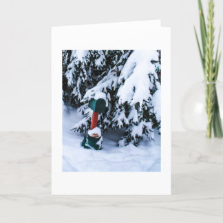 Cartes Pour Fêtes Annuelles Boîte aux lettres 2 de Noël