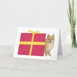Cartes Pour Fêtes Annuelles Boîte cadeau de Poméranie