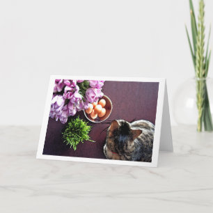 Cartes Pour Fêtes Annuelles Bol d'oeufs. Instantané 1