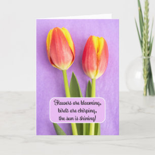 Cartes Pour Fêtes Annuelles Bon Printemps de Pâques est ici Pour n'importe qui