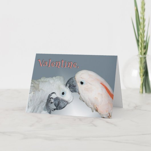 Cartes Pour Fêtes Annuelles Bon soin (Devant)