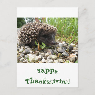Cartes Pour Fêtes Annuelles Bon thanksgiving !
