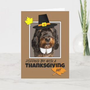 Cartes Pour Fêtes Annuelles Bon thanksgiving Bernedoodle Chien en Casquette
