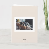 Cartes Pour Fêtes Annuelles Bon thanksgiving Citrouille de récolte d'automne p (Dos)