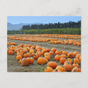 Cartes Pour Fêtes Annuelles Bon thanksgiving, récolte, automne