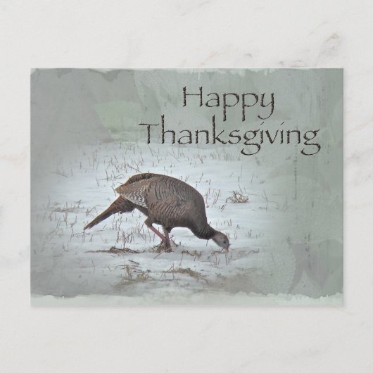 Cartes Pour Fêtes Annuelles Bon thanksgiving Wild Turkey (Devant)