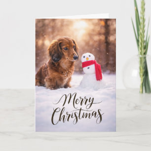 Cartes Pour Fêtes Annuelles Bonhomme de neige de Noël teckel