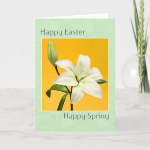 Cartes Pour Fêtes Annuelles Bonne Pâques et Printemps Belle Lys Blanches Photo
