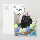 Cartes Pour Fêtes Annuelles Bonne Pâques Kitty (Devant / Derrière)