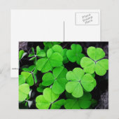 Cartes Pour Fêtes Annuelles Bonne Saint Patrick...chance de l'Irish (Devant / Derrière)