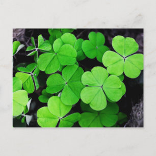 Cartes Pour Fêtes Annuelles Bonne Saint Patrick...chance de l'Irish