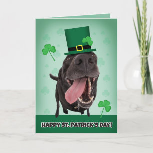 Cartes Pour Fêtes Annuelles Bonne Saint Patrick pour n'importe qui Humour de c