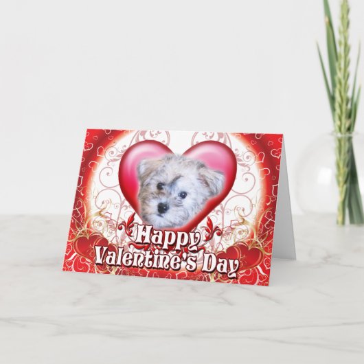 Cartes Pour Fêtes Annuelles Bonne Saint Valentin Schnoodle (Devant)