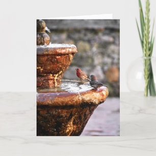Cartes Pour Fêtes Annuelles Bonnes fêtes