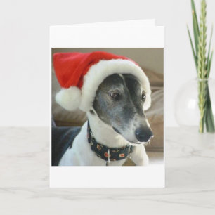 Cartes Pour Fêtes Annuelles Bonnes fêtes