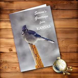 Cartes Pour Fêtes Annuelles Bonnes Fêtes Blue Jay du Kansas