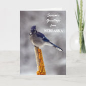 Cartes Pour Fêtes Annuelles Bonnes Fêtes Blue Jay du Nebraska (Devant)
