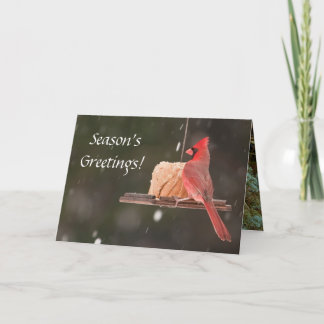 Cartes Pour Fêtes Annuelles BONNES FÊTES ! Cartes de Noël