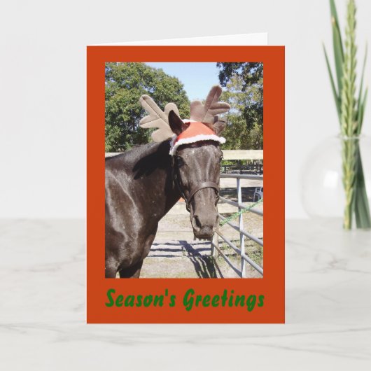 Cartes Pour Fêtes Annuelles Bonnes Fêtes chevalines (Devant)