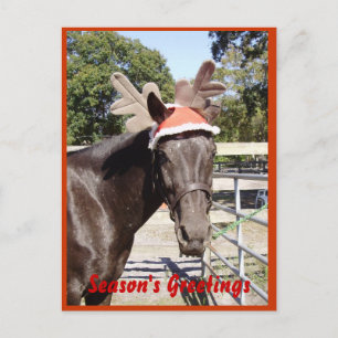 Cartes Pour Fêtes Annuelles Bonnes Fêtes de cheval
