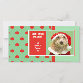 Cartes Pour Fêtes Annuelles Bonnes Fêtes de la mignonne de chien