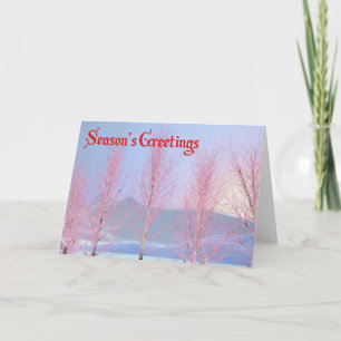 Cartes Pour Fêtes Annuelles Bonnes Fêtes - Framboise Crème Birch
