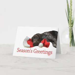 Cartes Pour Fêtes Annuelles Bonnes Fêtes grizzly brillantes