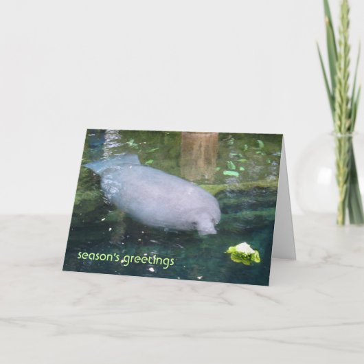 Cartes Pour Fêtes Annuelles Bonnes Fêtes - laitue (Devant)