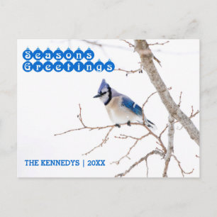 Cartes Pour Fêtes Annuelles Bonnes Fêtes - Nourriture de Jay Bleu dans la nei