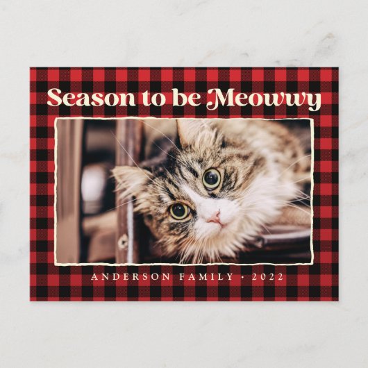 Cartes Pour Fêtes Annuelles Bonnes Fêtes Plaid Funny Pet Chat Photo (Devant)