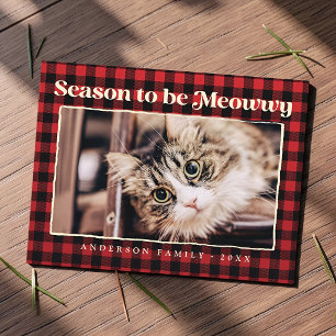 Cartes Pour Fêtes Annuelles Bonnes Fêtes Plaid Funny Pet Chat Photo
