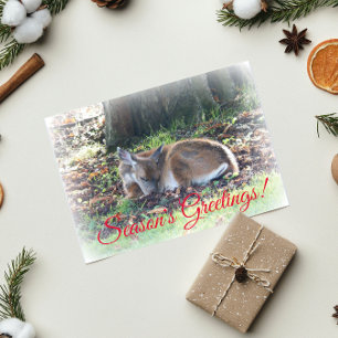 Cartes Pour Fêtes Annuelles Bonnes Fêtes Sleeping Deer Nature