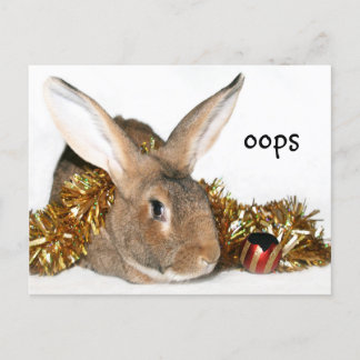 Cartes Pour Fêtes Annuelles Boo babny de Noël