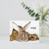 Cartes Pour Fêtes Annuelles Boo babny de Noël (Debout devant)