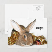 Cartes Pour Fêtes Annuelles Boo babny de Noël (Devant / Derrière)