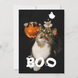 Cartes Pour Fêtes Annuelles Boo Halloween Animal familier Fantôme Araignée Yeu