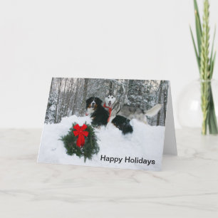 Cartes Pour Fêtes Annuelles Boof et Molly dans une Snowbank Happy Holidays Car