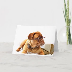 Cartes Pour Fêtes Annuelles Bordeaux Mastiff, France Mastiff Bordeauxdog