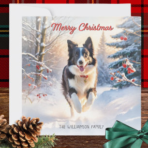 Cartes Pour Fêtes Annuelles Border Collie dans la neige Joyeux Noël