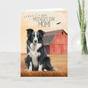 Cartes Pour Fêtes Annuelles Border Collie et grange rouge pour la fête des mèr