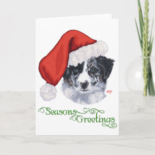 Cartes Pour Fêtes Annuelles Border Collie Noël