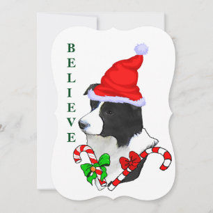 Cartes Pour Fêtes Annuelles Border Collie Noël