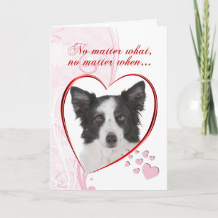Cartes Pour Fêtes Annuelles Border collie Valentine